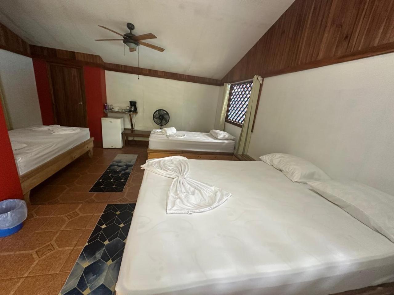Hotel Don Quichotte トルトゥゲーロ エクステリア 写真